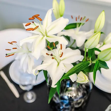 Charming 1bedroom On Nunnery Lane, Sleeps 3, Location Apartment